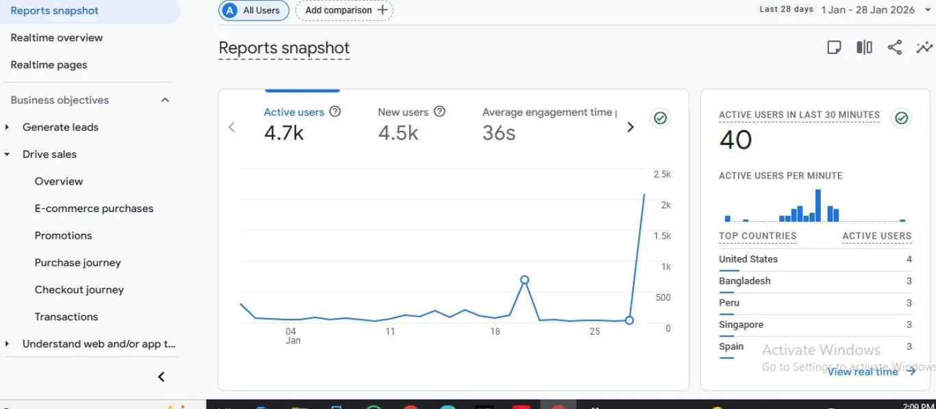 Search Visibility & Impressions Report